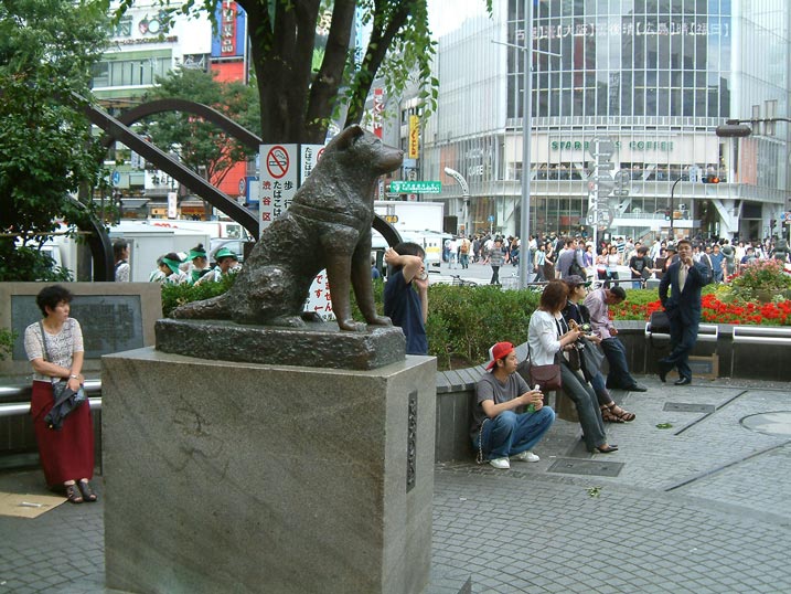 Hachiko