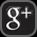 Google +1