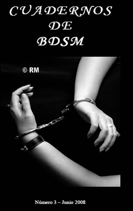 Cuadernos BDSM 3