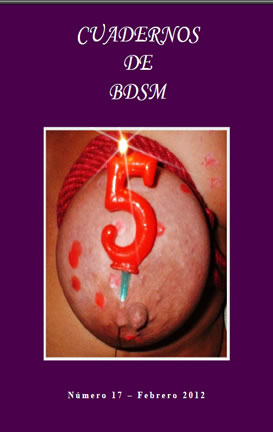 CBDSM17