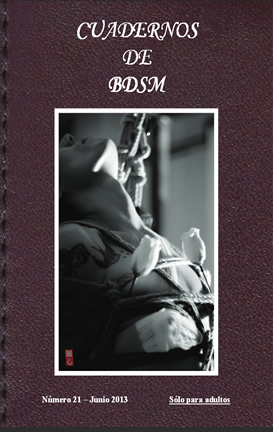 Cuadernos BDSM 21