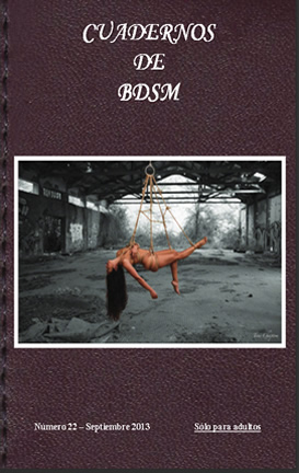 Cuadernos BDSM 22