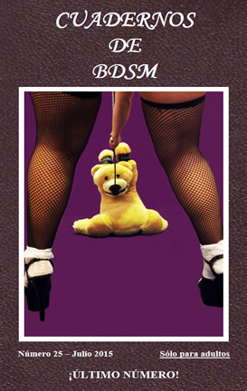 Cuadernos BDSM 25