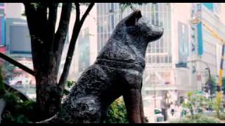 Hachiko